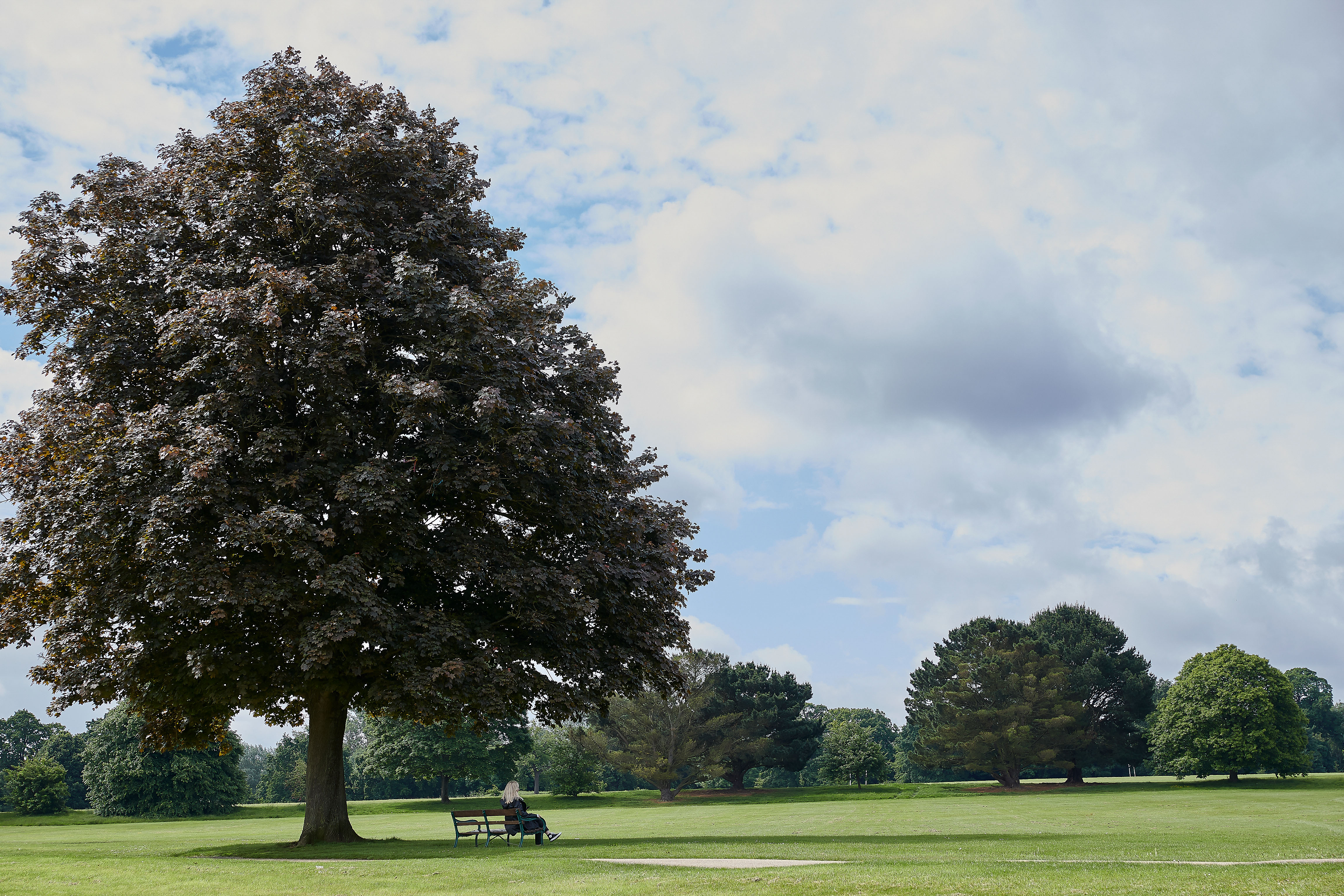 002 Mote Park Maidstone Web