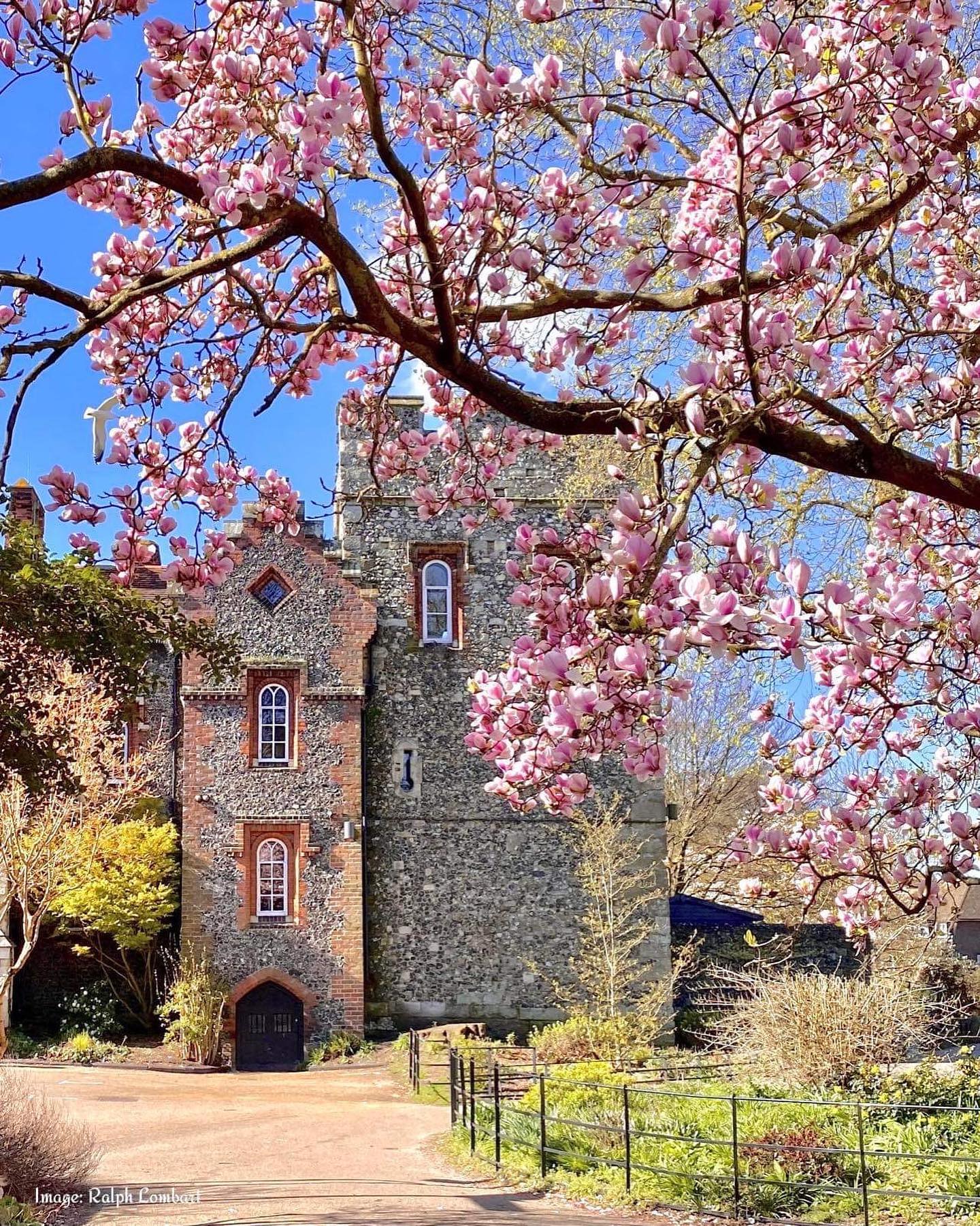 Canterbury Photo @Ralphlombart