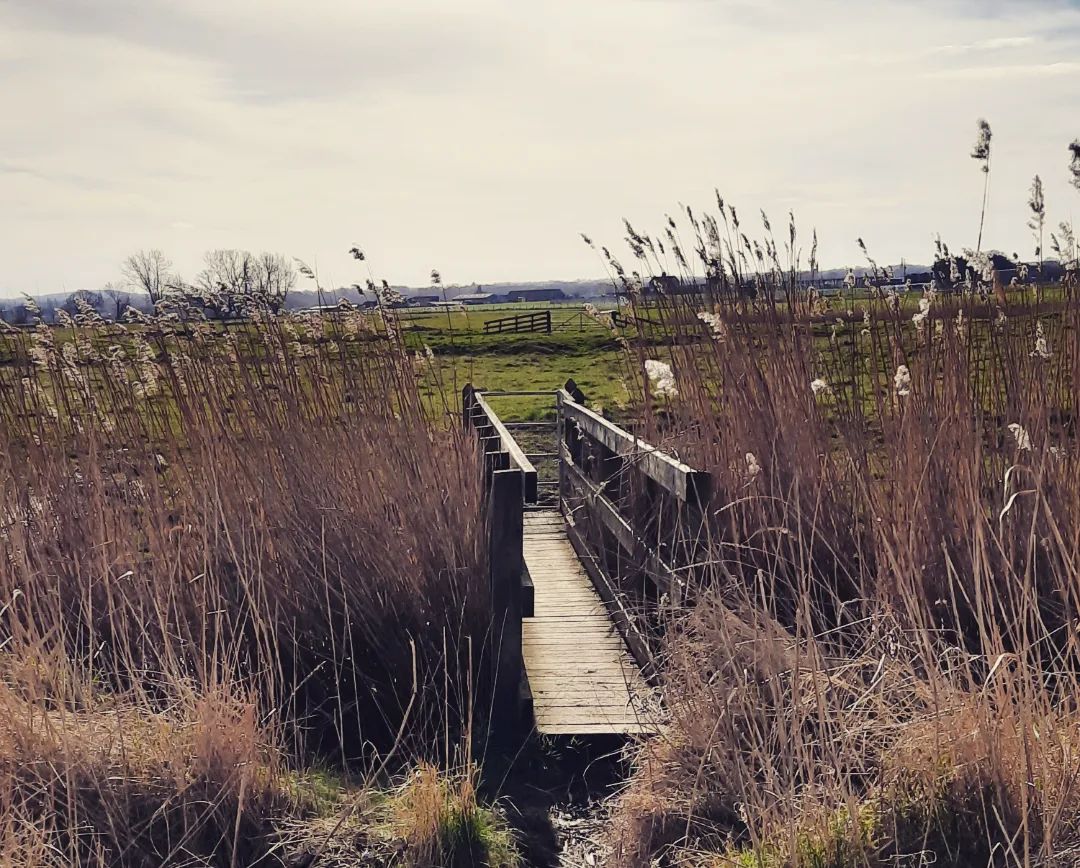 Faversham, Swale. Photo @Whyilovefaversham 1