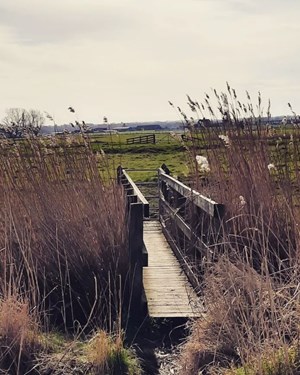 Faversham, Swale. Photo @Whyilovefaversham 1