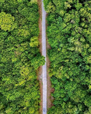 Blean Woods (Canterbury) @Iseetheseaphotography