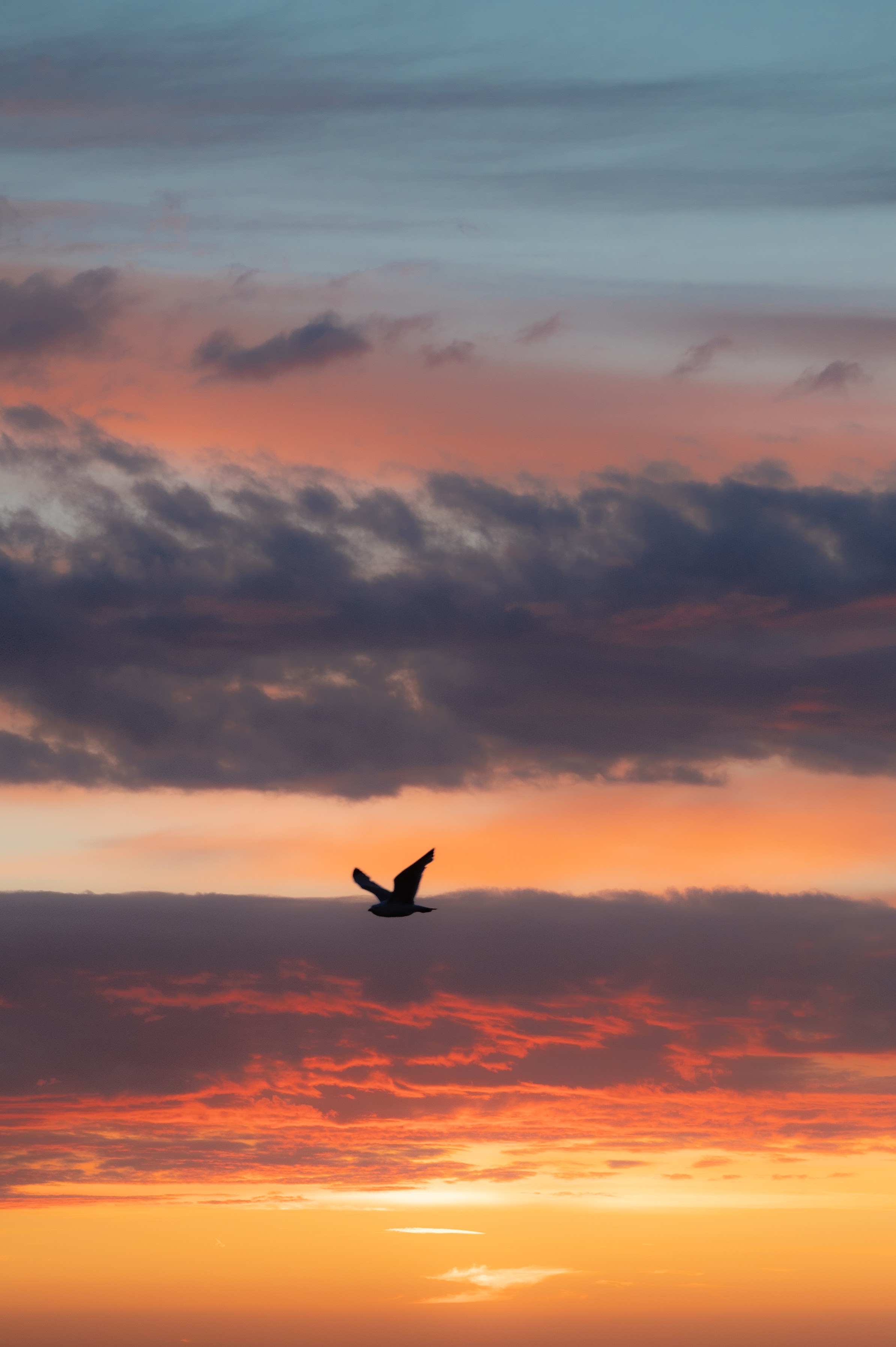 Walpole Tidal Pool Margate (Thanet) @Peterspringett