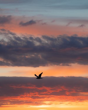 Walpole Tidal Pool Margate (Thanet) @Peterspringett
